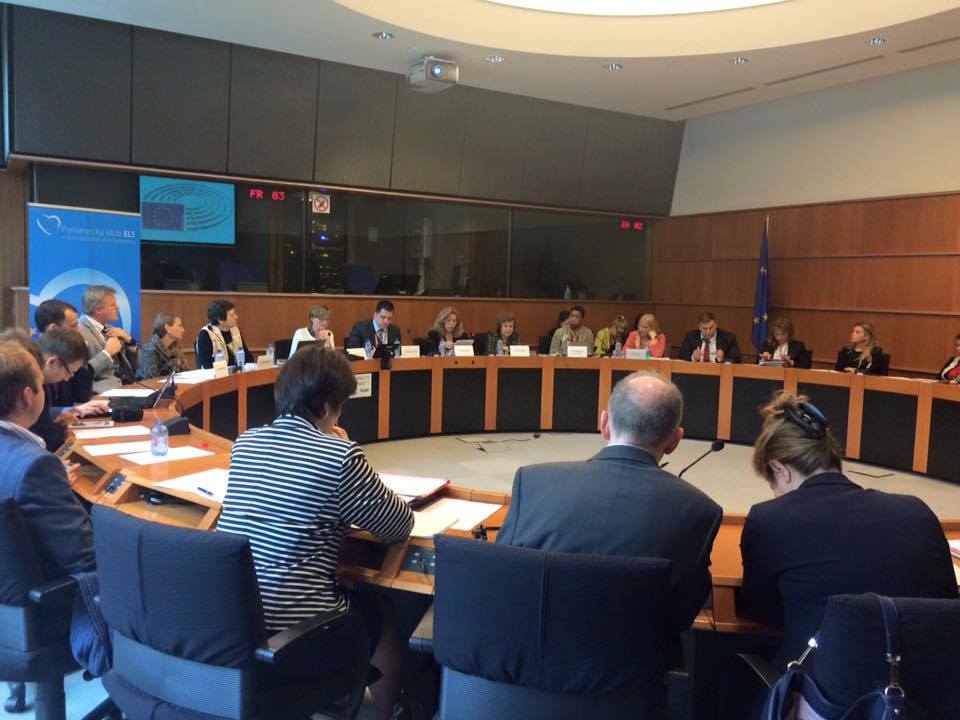 European Parliament Round Table 2015-06-02